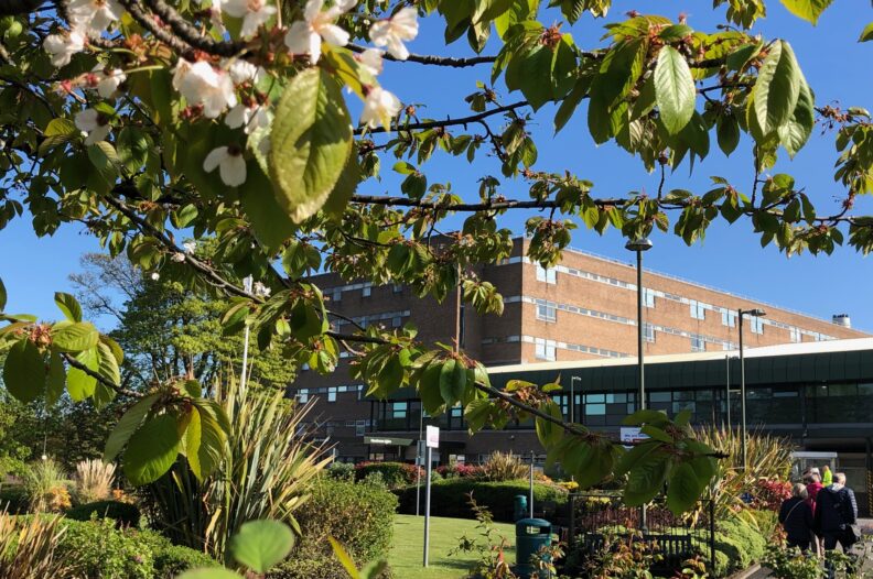 Freeman April 2019 002